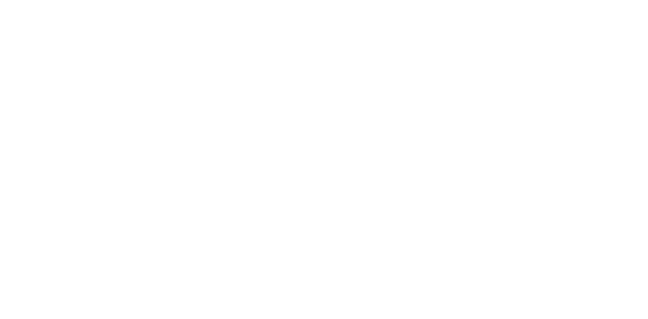 臻识科技VisionZenith|智慧城市智能化视觉解决方案引领者