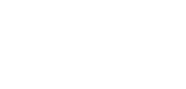 臻识科技VisionZenith|智慧城市智能化视觉解决方案引领者