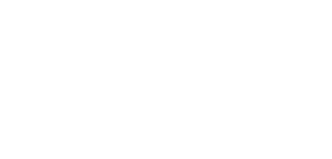 臻识科技VisionZenith|智慧城市智能化视觉解决方案引领者